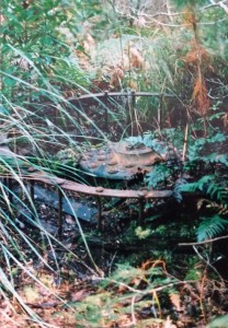 Metal wheel at the Higgs/Sunrise mine site in 1993. In his archaeological report, Parry Kostoglou suggests this could be part of an ore disintegrator.