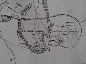 A crop from GF Jakins' 1908 survey of the Middlesex Plains block, showing the House and Bullock Paddocks and the collection of buildings at the head of the House Paddock. From VDL343-1-359, TAHO, courtesy of the VDL Co.