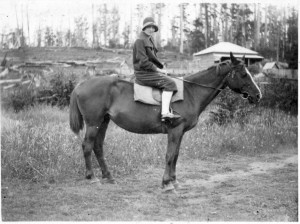 Lorna Britton leaving for a painting lesson on the ‘scary’ light chestnut draughthorse Boxer. She wrote that this horse was ‘so skittish he could toss me off his back easily, but boy could he trot. On the way to Smithton with the drains on each side of the Mowbray Swamp, it was a nightmare to have this scary horse. A passing car could make him jump sideways and you’d end up in the huge drain’. In the background is the cottage behind ‘Manuka’ which was used by workers at the mill, and in which Philip and Maria Britton also stayed.