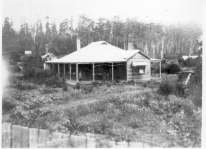 The seven-roomed 1922 bungalow ‘Glen Valley’, with the steam sawmill in the background at left, and the loco shed to the right. 