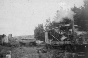 Bush engineering. The Marshall loco (above), seen here hauling a load of blackwood, was a triumph of improvisation. 