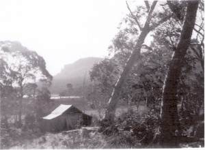 McCoy's hut as it looked in 1951, with Mount Oakleigh and Lake Ayr for a backdrop. Photo courtesy of the McCoy family.