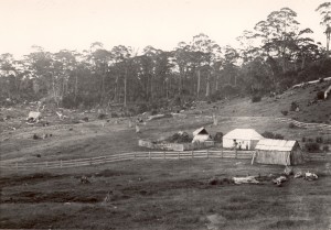 The Middlesex Station huts in February 1905, with Jacky, Linda Brown and two children standing in front of the second (mustering) hut. The hut occupied by the family can be seen at the extreme left in the left-hand photo, set well away from the others. The curl of smoke from the distant hut confirms the location of the chimney at its rear. Ron Smith photo courtesy of the late Charles Smith. 