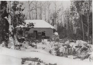 The deserted Davis house at Black Jack, Cradle Mountain road, August 1925. Ron Smith photo courtesy of the late Charles Smith.