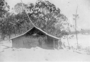 Tommy McCoy's hunting hut near Lake Ayr. Photo courtesy of the McCoy family.