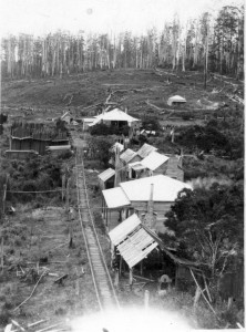 View from the chimney of the original sawmill, showing the blacksmith’s shop (foreground), workers’ cottages (middle distance) and the Britton family house (background). The tramway pictured was used to supply wood to the house. The Bass Highway would later separate ‘Manuka’ from the other buildings. 