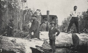 A blockage on the Marrawah Tramway. From the Weekly Courier, 13 October 1921, p.28.