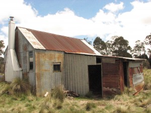 Atkinson's hut and skin shed at Thompsons Park, on the Surrey Hills block. Thompsons Park was the site of a Field brothers' stock hut. Later it also served seasonal hunters.