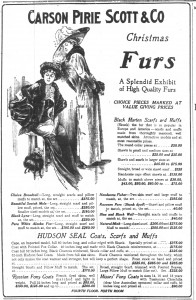 In 1910 'Tasmanian Chinchilla (clear blue Australian possum)' took its place in the American fur catalogue alongside Hudson seal, skunk, beaver, wolf and chamois. Advert from the Chicago Daily Tribune, 17 December 1910, p.26