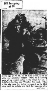 Luke Etchell posing before the Guildford skin sale in 1946. Winter photo from the Examiner, 1 August 1946, p.1.