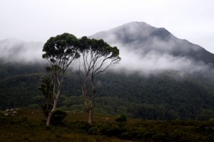 The view of Mount Agnew from the Orient Tin Mine site, where the first west coast church stood in 1883.