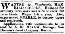 The tigerman job advertised, North Western Advocate and the Emu Bay Times, 22 May 1903, p.3.
