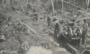 Draining the Welcome Swamp, 1923. From the Weekly Courier, 6 September 1923, p.21